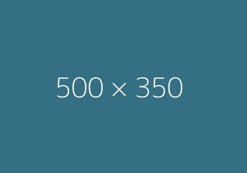 500x300